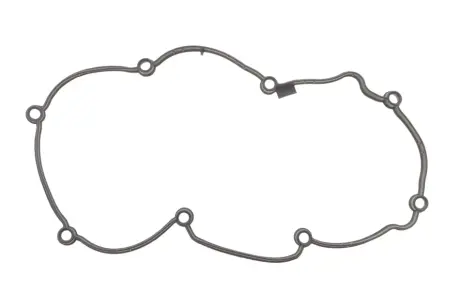 Прокладка кришки головки блоку VAG 2,0 TDI 16V DSRA/DSRB/DTSA/DTSB (вир-во Elring) ELRING 786.210