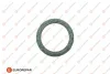 Прокладка глушника Kadett/Astra/Vectra/Combo/Omega -01 EUROREPAR 1607360880 (фото 1)