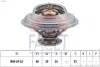 Термостат Renault Trafic/ VW Golf 2.1-2.3 D/TD/i 80- (82 C) FACET 7.8250S (фото 1)