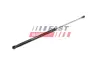 Амортизатор багажника (500/195mm 320N) Seat Leon 05-12 FAST FT00194 (фото 1)