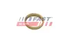 Шайба амортизатора переднього Citroen Jumper/Fiat Ducato/Peugeot Boxer (06-) FAST FT14401 (фото 1)