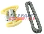 К-кт ланцюга ГРМ Citroen 2.2HDi 08-/Ford 2.2 TDCi 08- FAST FT41904 (фото 1)