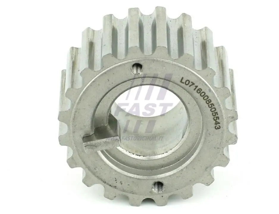 Шестерня распредвала Renault Logan, Clio II,Megane III,Kangoo 1.5dCi (04-) Fast FAST FT45604 (фото 1)