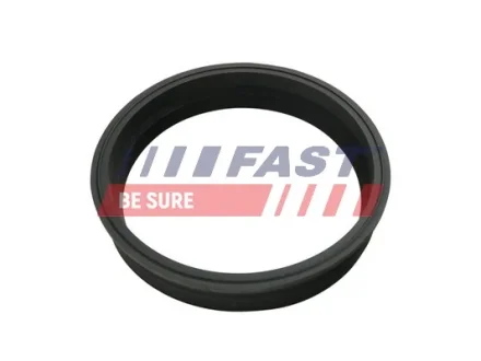 Прокладка паливного насоса Galaxy/Fabia/Octavia 1.2-2.3 96-06 (Ø 108mm) FAST FT48501