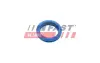 Уплотнитель масляного щупа FORD FOCUS I, TRANSIT CONNECT 1.8D 03/01-12/13 FAST FT48955 (фото 1)