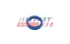 Уплотнитель масляного щупа FORD FOCUS I, TRANSIT CONNECT 1.8D 03/01-12/13 FAST FT48955 (фото 2)