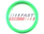 Прокладка Колектора Fiat Fiorino 07 Впускний 1.4 FAST FT49434 (фото 1)