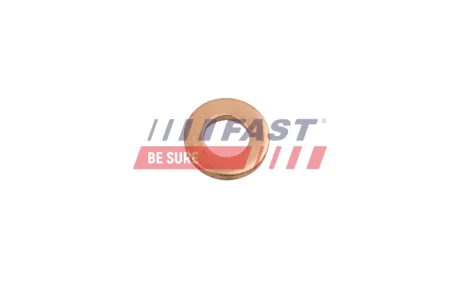Ущільнювальне кільце вала FAST FT49801