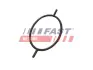 Ущільнююче Кільце Ford Connect 02 1.8 Tdci 06 Serwo Hamulcowe FAST FT49923 (фото 1)