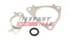 Прокладка клапана к-кт EGR CITRO?N JUMPER 3.0HDi 06- FIAT DUCATO 3,0D 06- IVECO DAILY 3.0D 99-14 FAST FT50617 (фото 1)