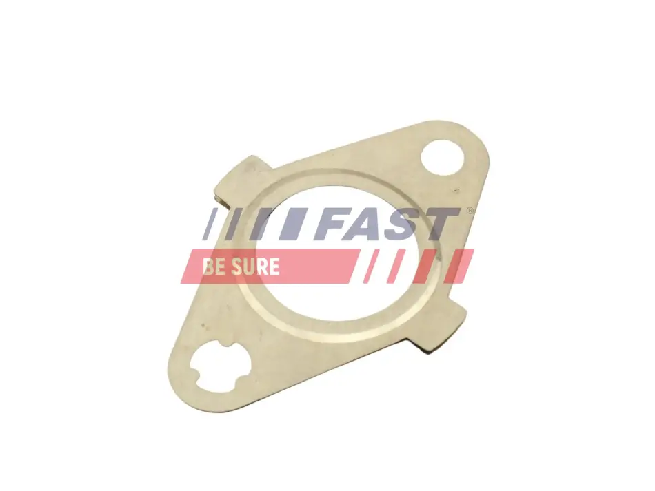 Прокладка радиатора EGR Fiat Ducato 2.3D 06-/Iveco Daily 06- FAST FT50622 (фото 1)