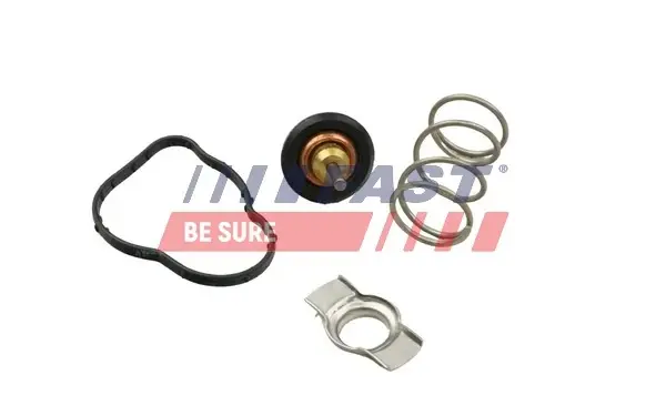 Термостат MB W176/Citan/ Renault Clio/Kangoo/Megane 1.5 D/dCI/Cdi 09- (83C) FAST FT58042 (фото 1)