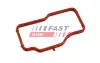 Прокладка термостата CITRO?N JUMPER 2.0HDi 15-, OPEL VIVARO 2.0 19- FAST FT58307 (фото 2)