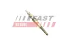 Свічка Розжарення Renault Master 98 1.9Dci FAST FT82726 (фото 1)