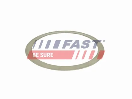 Прокладка глушника Fiat Doblo 1.6/2.0D 10- FAST FT84501