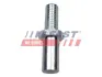 Штифт верхнього замка бокових дверей Fiat Ducato 01-06 FAST FT95338 (фото 1)