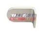 Упор дверей задній нижній Fiat Ducato (06-) (14-) Fast FAST FT95422 (фото 1)