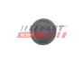 Кнопка блокування дверей задніх Fiat Ducato (06-, 14-) Fast FAST FT95590 (фото 1)