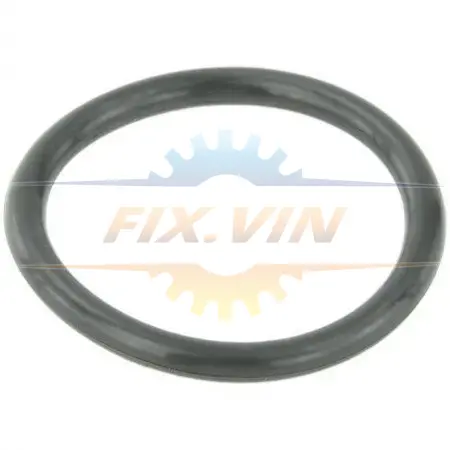 Кільце ущільнююче системи охолодження FEBEST RINGWHB5 (фото 1)