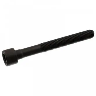 Болт головки блока циліндров (ГБЦ) FEBI BILSTEIN 07978