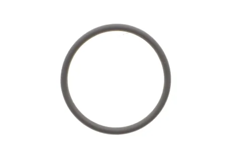 Кільцо термостата M 271 FEBI BILSTEIN 100077