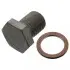 Болт зливу оливи + шайба BMW X3 (E83)/X5 (E70)/3 (F34)/5 (E60)/Toyota Avensis III (M12 x1,5) FEBI BILSTEIN 100551