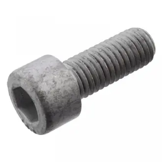 Гвинт / шуруп FEBI BILSTEIN 101234