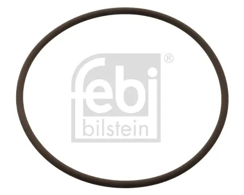 Ущільнювальне кільце FEBI BILSTEIN 104848 (фото 1)