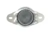 Подушка двигуна Peugeot 407 / Citroen C5 / Peugeot 807 FEBI BILSTEIN 19019 (фото 3)