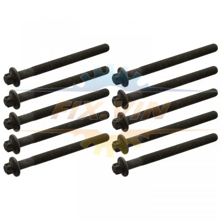Болти головки (к-кт 10шт.) Renault Kangoo 1.5dCi FEBI BILSTEIN 24074 (фото 1)