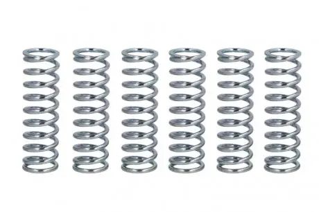Пружини зчеплення FERODO FSS0203