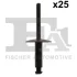 FA1 Набір, глуха заклепка Fischer Automotive One (FA1) 10-20020.25 (фото 1)