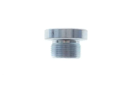 Пробка піддону автомобіля Fischer Automotive One (FA1) 257.871.001