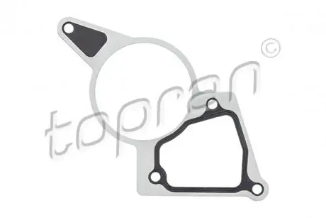Набір прокладок вакуумного насоса MONDEO III, TRANSIT, TRANSIT V363 2.0D/2.2D 10.00- FORD 1731754