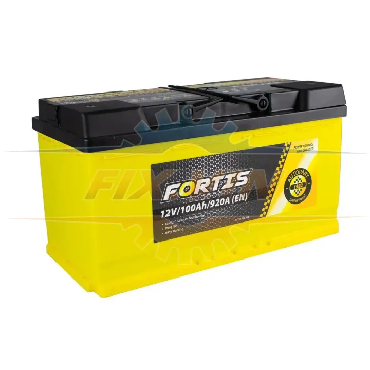 100 Ah/12V (0) Euro FORTIS FRT100-00 (фото 1)