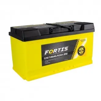 100 Ah/12V (0) Euro FORTIS FRT100-00