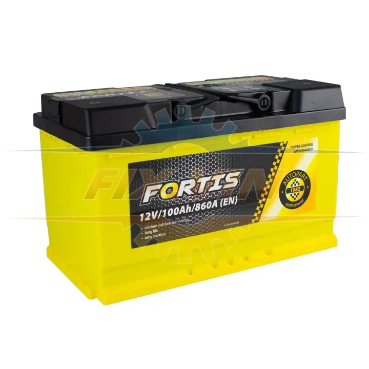 100 Ah/12V (0) Euro_L4 короткий FORTIS FRT100-L4-00 (фото 1)