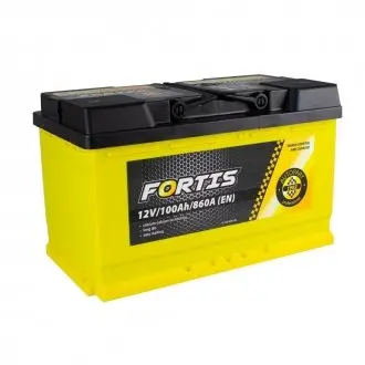 100 Ah/12V (0) Euro_L4 короткий FORTIS FRT100-L4-00