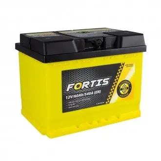 60 Ah/12V (1) FORTIS FRT60-01