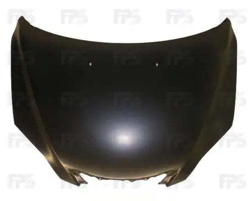Капот FPS FP 3477 280 (фото 1)