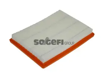 Фильтр FRAM CA9838 (фото 1)