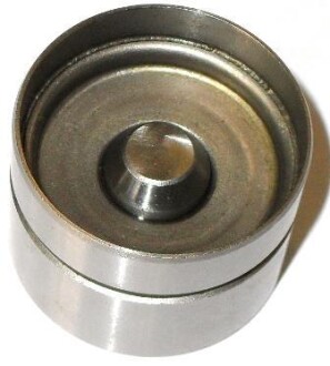 Гідрокомпенсатор BMW M52/M54/S62 \'\'95-06 FRECCIA PI060021