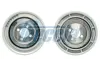 Шків колінвала FIAT 500 1.3 D Mtjet \'07- FRECCIA PUL11121 (фото 1)