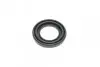 Ремкомплект супорта (заднього) Hyundai Tucson/Kia Sportage 1.6-2.0 CRDi 15-(d=38mm)(Mobis)(+поршень) FRENKIT 238831 (фото 15)