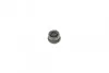 Ремкомплект супорта (переднього) BMW 1 (F40) 19- (d=54mm)(TRW)(+1 поршень/направляюча) SuperKit FRENKIT 754408 (фото 2)