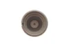 Поршень супорта зад. Tesla Model S 12-/Model X 15- (36x43mm)(Brembo) FRENKIT P364301 (фото 3)