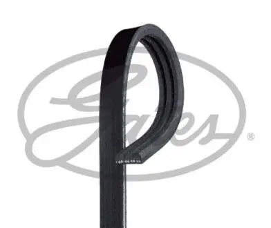 Поликлиновой ремень Gates 3PK800