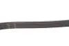 Поліклінові ремені Micro-V StretchFit (Вир-во) Gates 4PK895SF (фото 3)