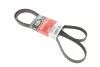Ремінь генератора клиновий GATES 5PK1810 5PK1810