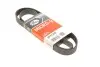 РЕМІНЬ Gates 6PK1255 (фото 1)